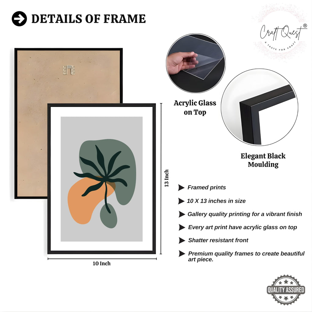 CRAFT QUEST Wall Art Decor Paintings | Set of 3 BOHO Wall Art Frames for Home Decoratio | Ideal for Living Room, Office & Bedroom