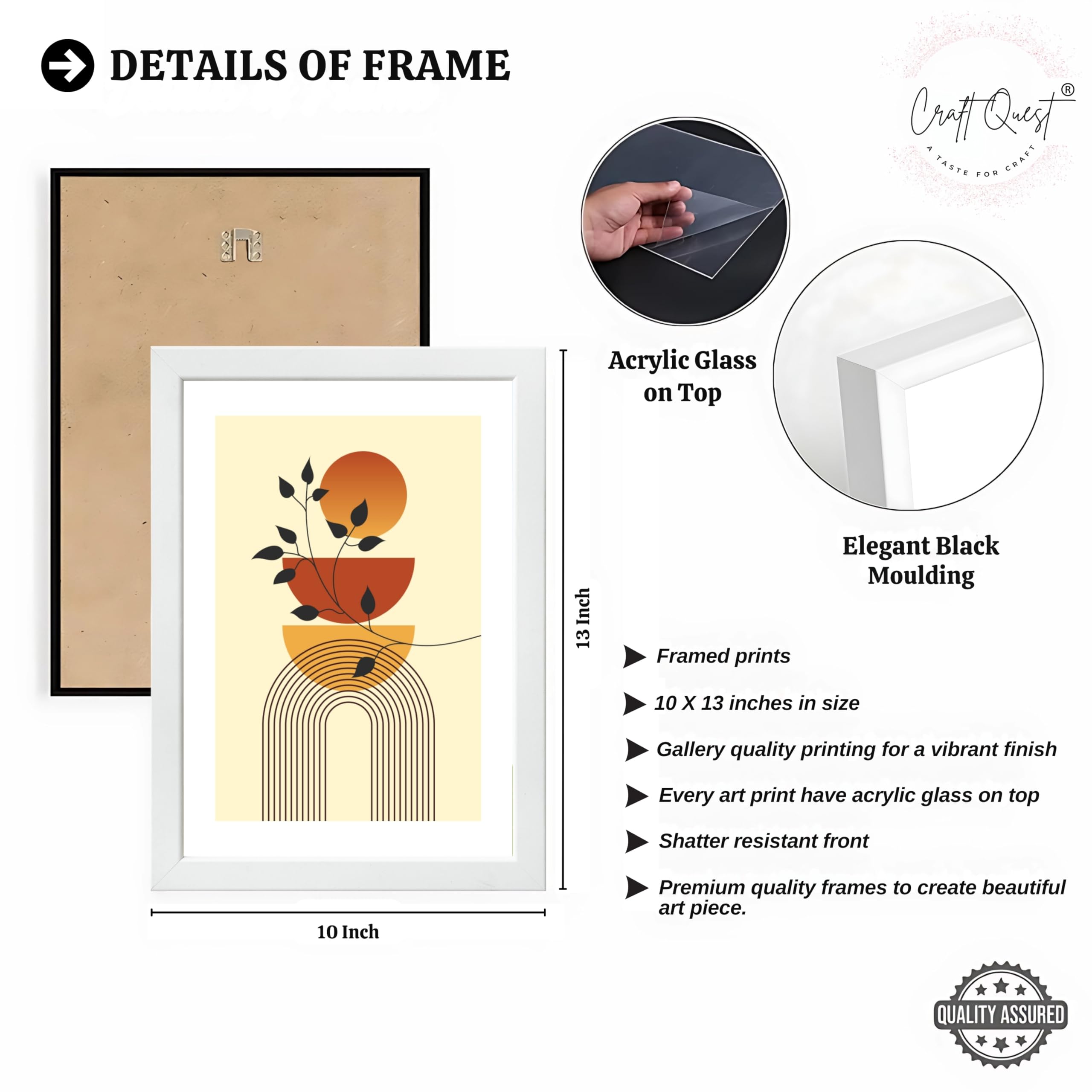 CRAFT QUEST Boho Contemporary Botanical Modern Wall Art | Set of 3 Frames for Home Decoration | Ideal for Living Room, Bedroom & Offices