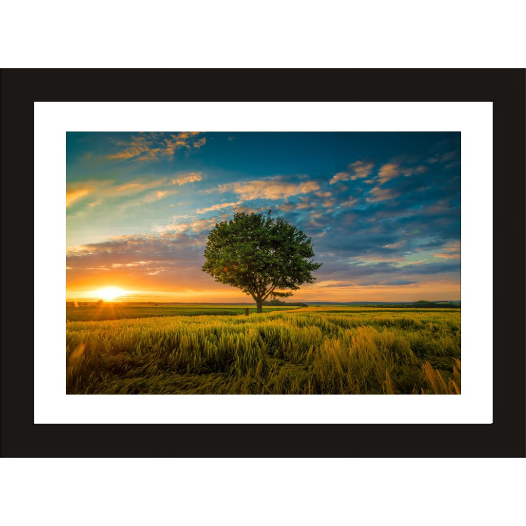 CRAFT QUEST Abstract Modern Pachyart Art Painting Poster Frame for Home & Office Wall Decoration - Portrait, Wall Display (Black, 14x10 Inch Frame with Art Print) (Tropical Reverie)