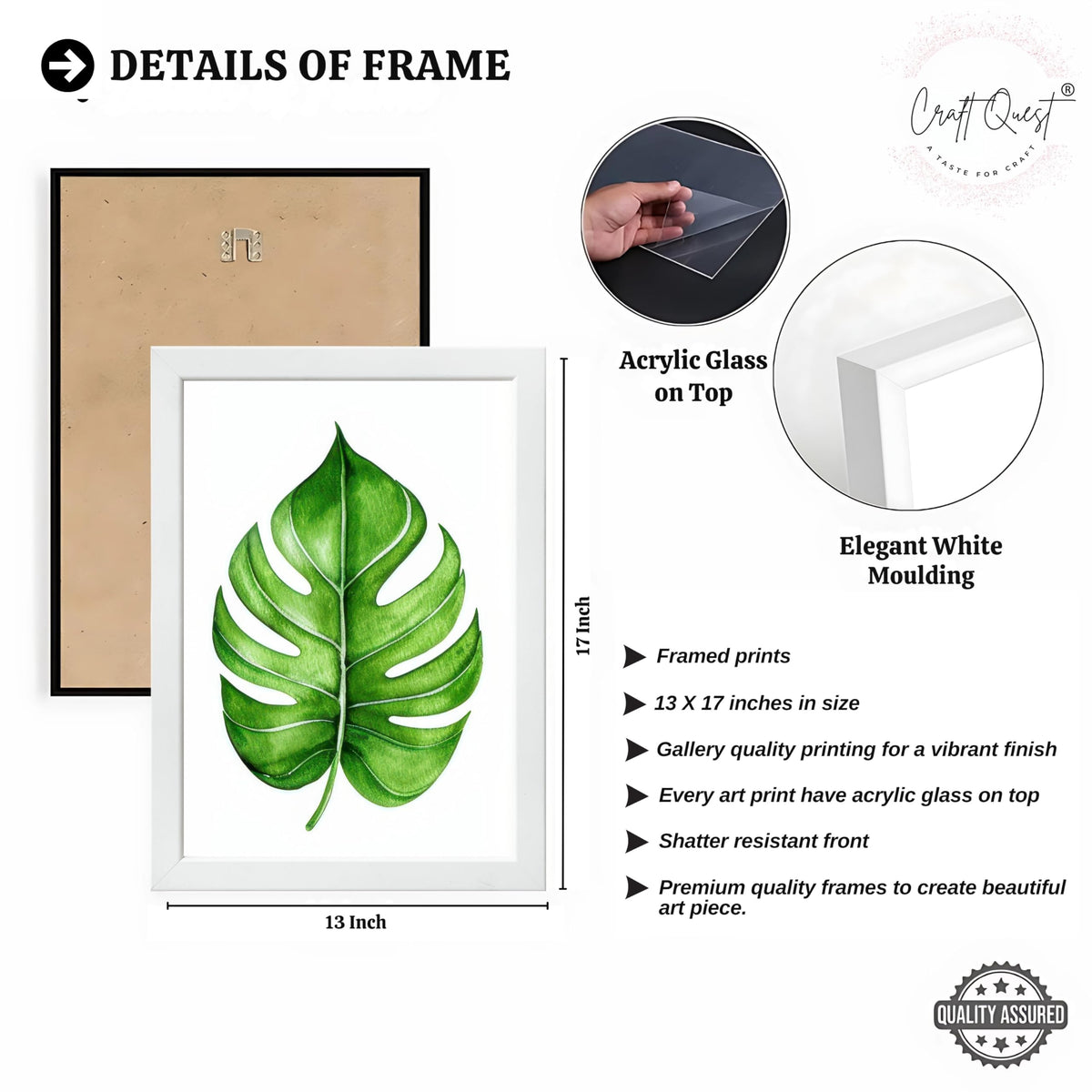 CRAFT QUEST Nature Inspired Exotic Leaves Modern Wall Art | Set of 3 Frames for Home Decoration | Ideal for Living Room, Bedroom & Offices