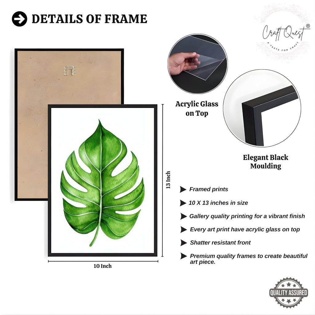 CRAFT QUEST Nature Inspired Exotic Leaves Modern Wall Art | Set of 3 Frames for Home Decoration | Ideal for Living Room, Bedroom & Offices