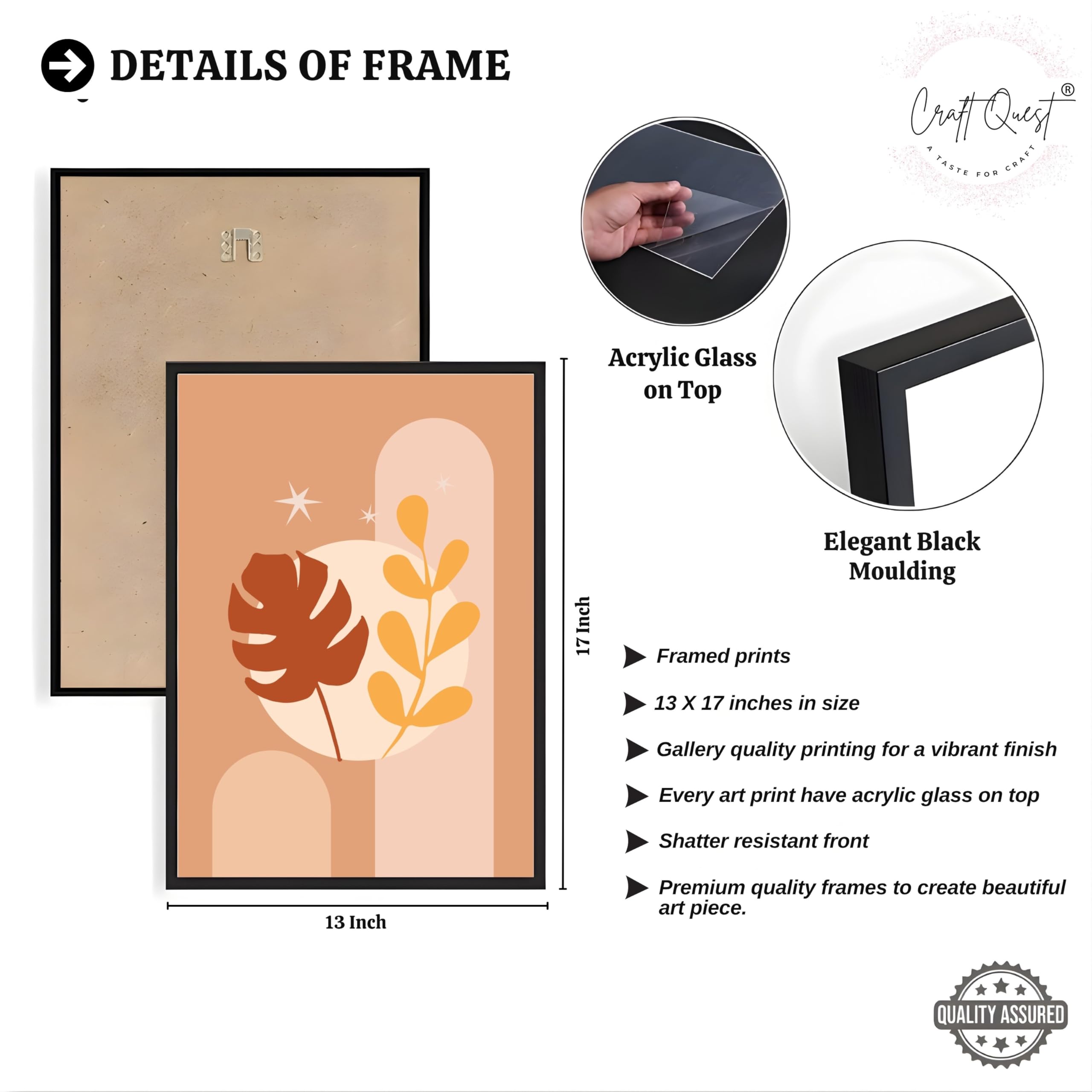 CRAFT QUEST Wall Art Decor Paintings | Set of 3 BOHO Wall Art Frames for Home Decoration | Ideal for Living Room, Offices & Bedrooms