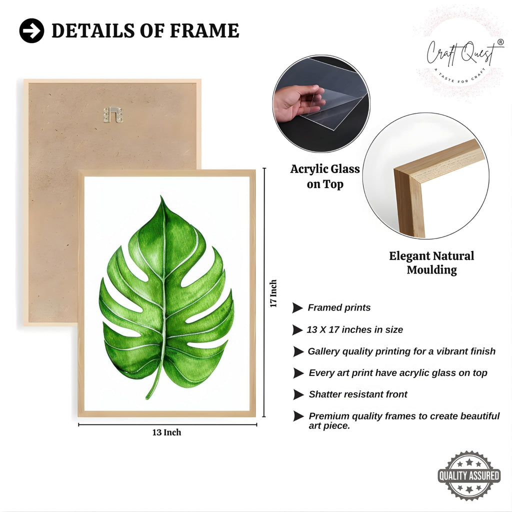 CRAFT QUEST Nature Inspired Exotic Leaves Modern Wall Art | Set of 3 Frames for Home Decoration | Ideal for Living Room, Bedroom & Offices