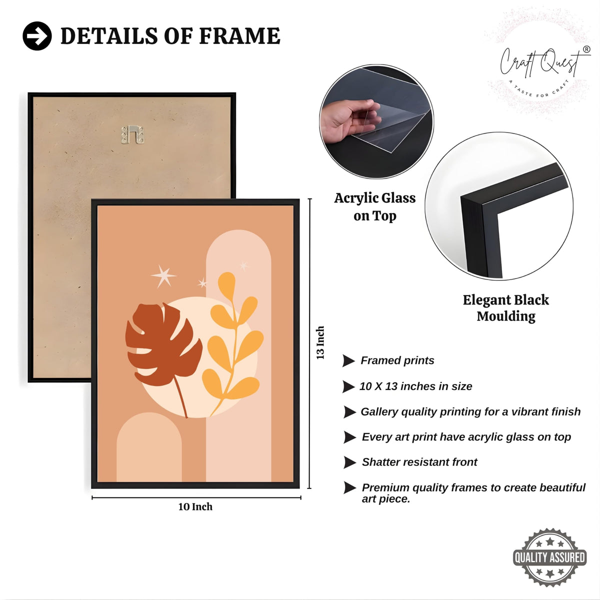 CRAFT QUEST Wall Art Decor Paintings | Set of 3 BOHO Wall Art Frames for Home Decoration | Ideal for Living Room, Offices & Bedrooms