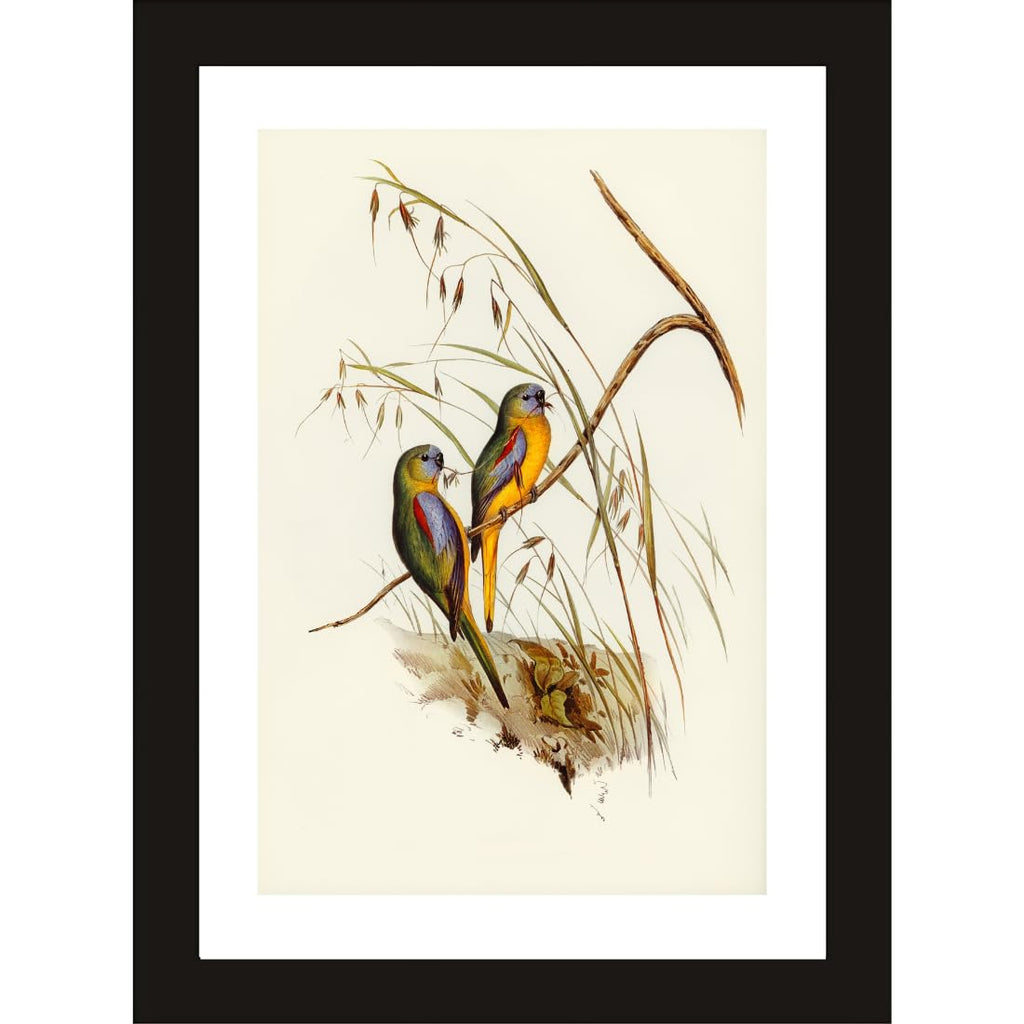 CRAFT QUEST Abstract Digital Bird Duo Modern Art Painting Poster Frame for Home & Office Wall Decoration - Portrait, Wall Display (Black, 14x10 Inch Frame with Art Print) (Tropical Reverie)
