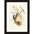 CRAFT QUEST Abstract Digital Bird Duo Modern Art Painting Poster Frame for Home & Office Wall Decoration - Portrait, Wall Display (Black, 14x10 Inch Frame with Art Print) (Tropical Reverie)