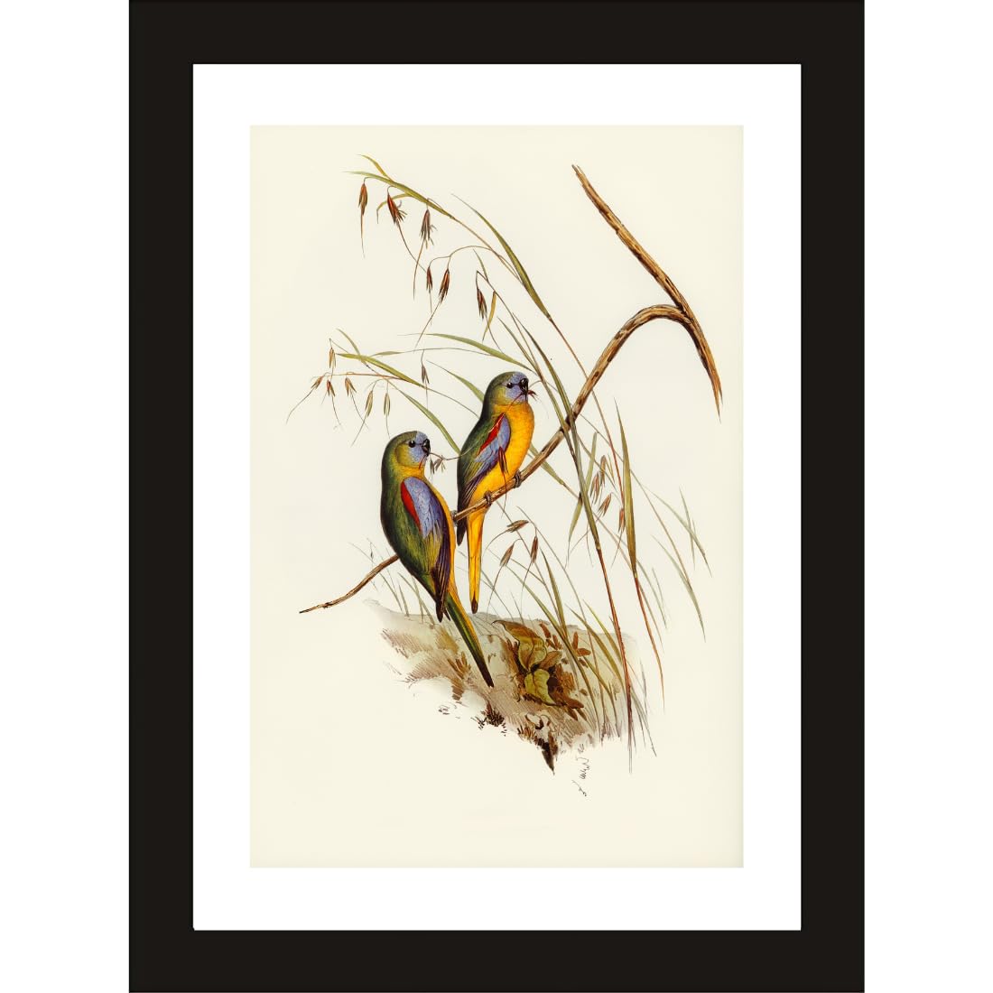 CRAFT QUEST Abstract Digital Bird Duo Modern Art Painting Poster Frame for Home & Office Wall Decoration - Portrait, Wall Display (Black, 14x10 Inch Frame with Art Print) (Tropical Reverie)