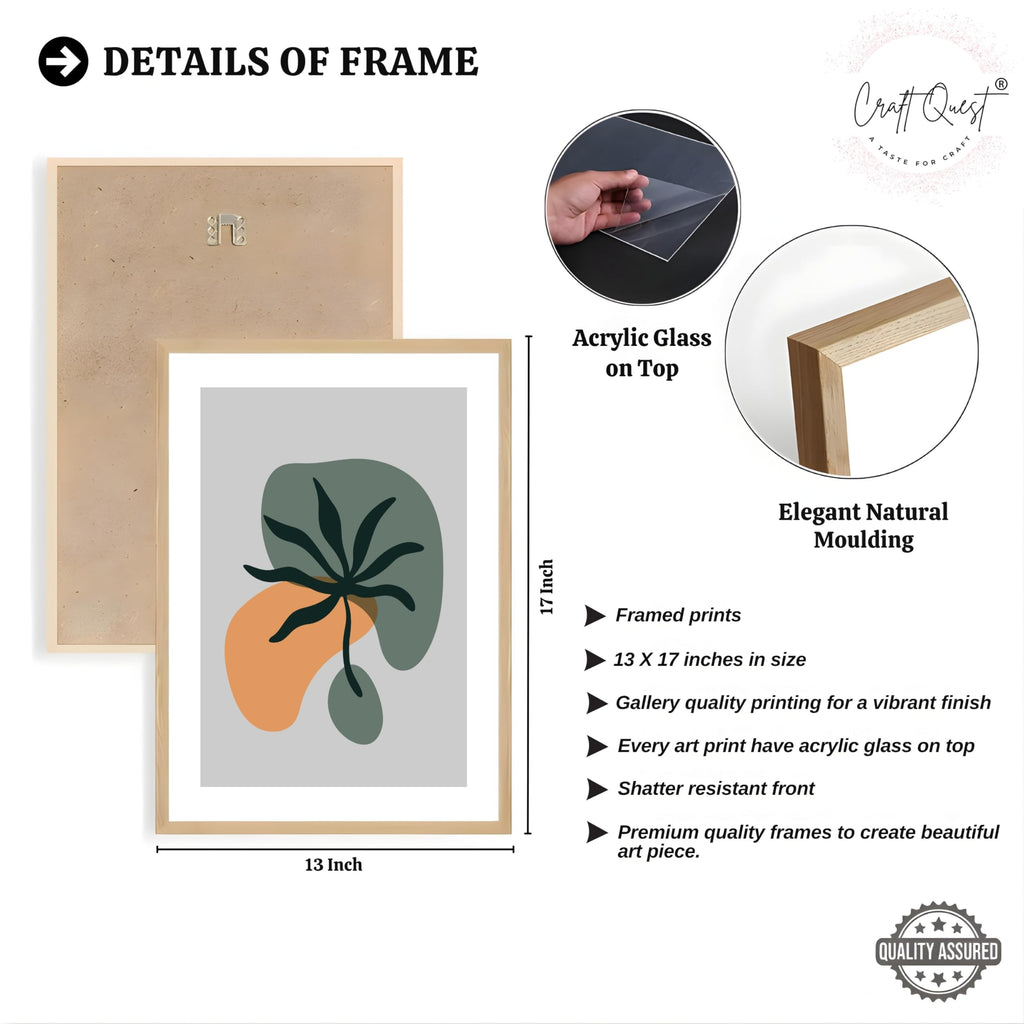 CRAFT QUEST Wall Art Decor Paintings | Set of 3 BOHO Wall Art Frames for Home Decoratio | Ideal for Living Room, Office & Bedroom