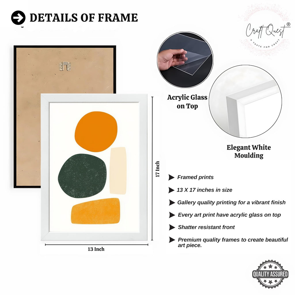 CRAFT QUEST SET OF 3 Organic Abstract Wall Art | Set of 3 Frames for Home Decoration | Ideal for Living Room, Bedroom & Offices