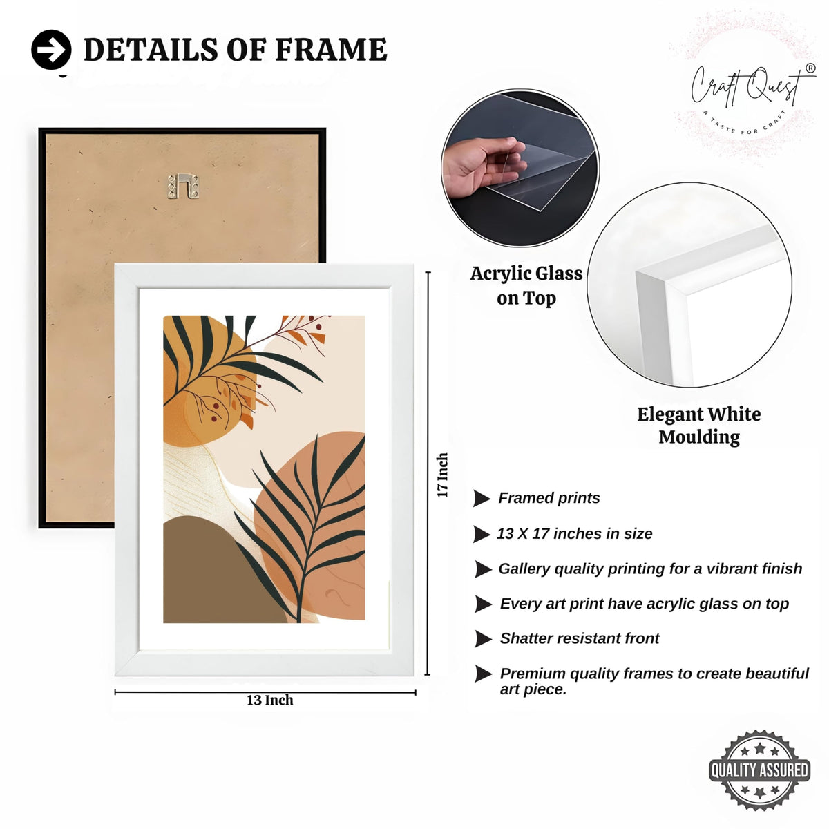 CRAFT QUEST Modern Abstract Featuring Stylized Plants | Set of 3 Frames for Home Decoration | Ideal for Living Room, Bedroom & Offices