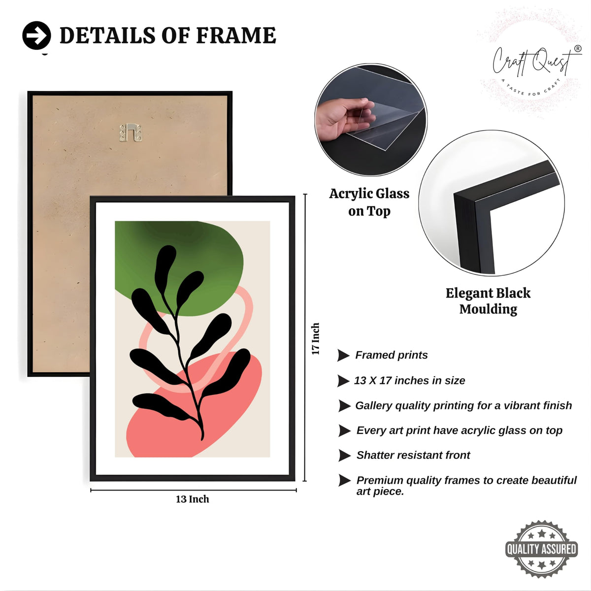 CRAFT QUEST Nature Inspired Abstract Shape & Leaf Wall Art | Set of 3 Frames for Home Decoration | Ideal for Living Room, Bedroom & Offices
