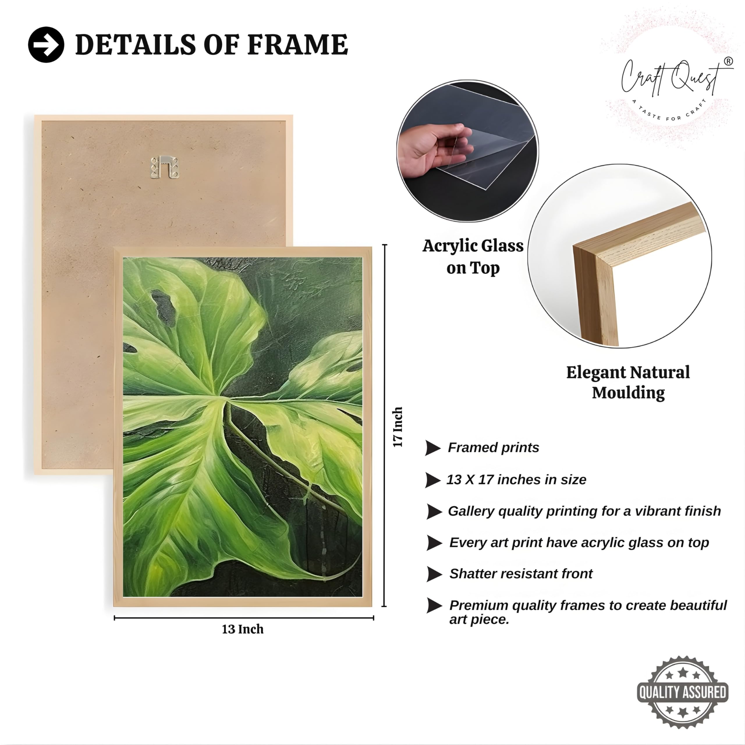 CRAFT QUEST Nature Inspired Painting Of Plant With Green Leaves Wall Art | Set of 3 Frames for Home Decoration | Ideal for Living Room, Bedroom & Offices