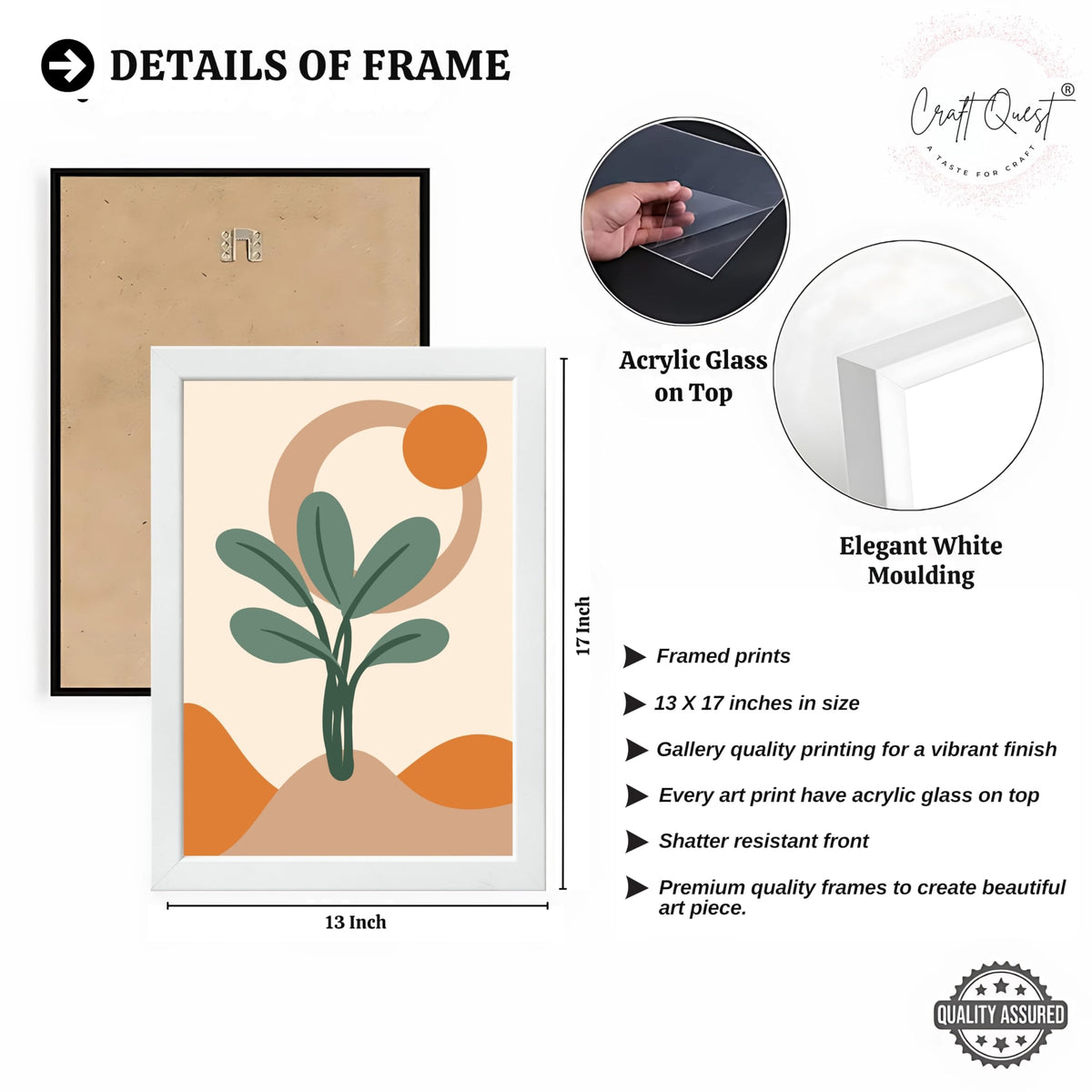 CRAFT QUEST Wall Art Decor Paintings | Set of 3 BOHO Wall Art Frames for Home Decoratio | Ideal for Living Room, Offices & Bedrooms