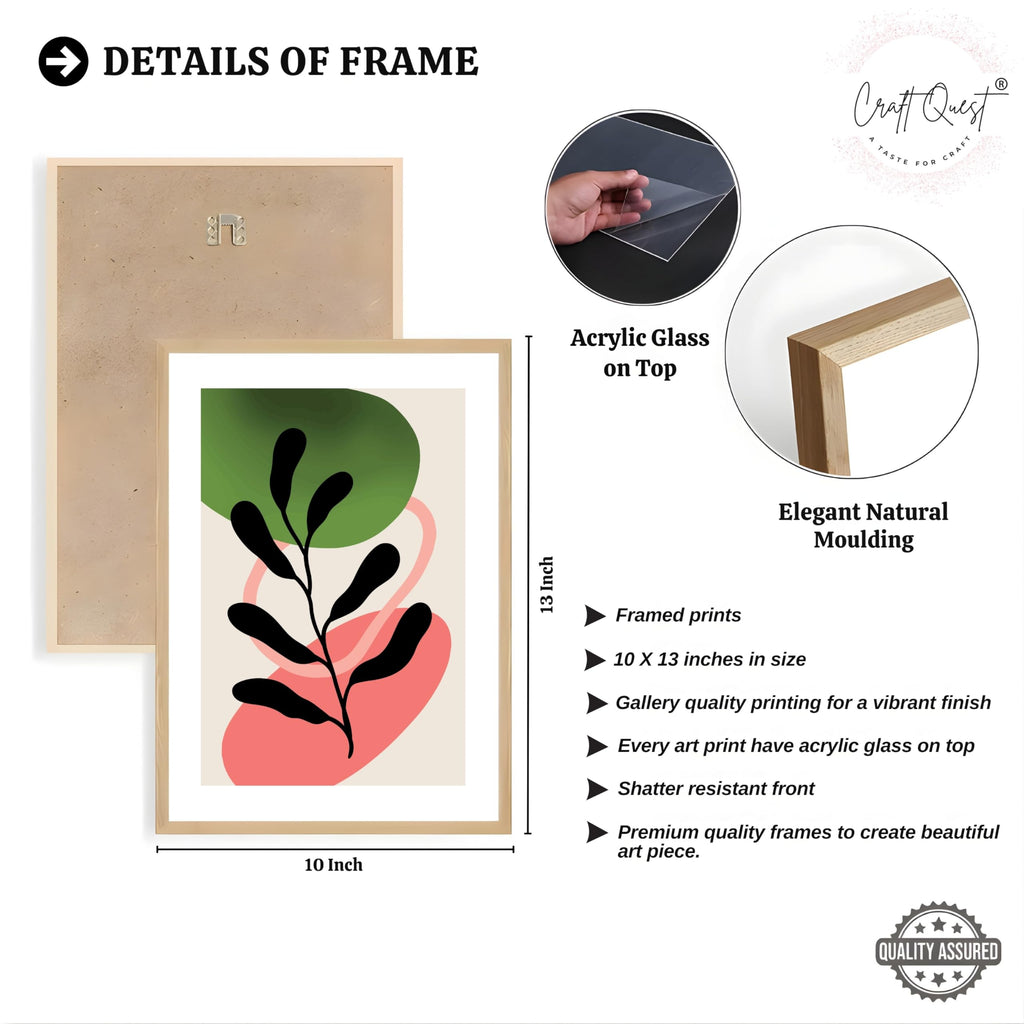 CRAFT QUEST Nature Inspired Abstract Shape & Leaf Wall Art | Set of 3 Frames for Home Decoration | Ideal for Living Room, Bedroom & Offices