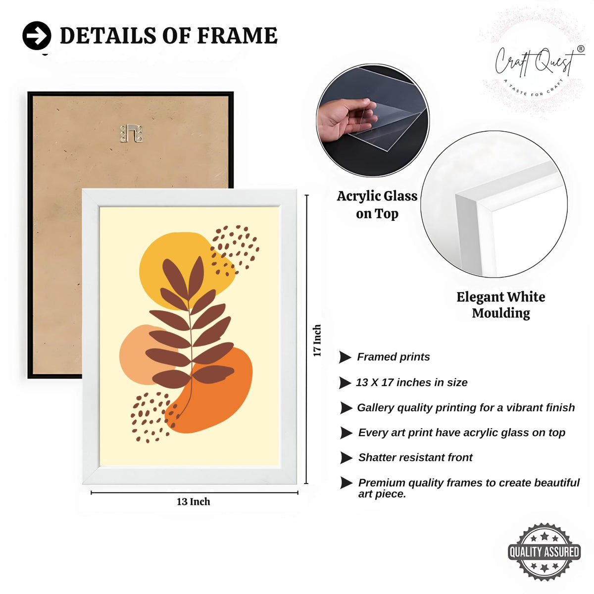 CRAFT QUEST Wall Art Decor Paintings | Set of 3 BOHO Wall Art Frames for Home Decoration | Ideal for Living Room, Offices & Bedrooms