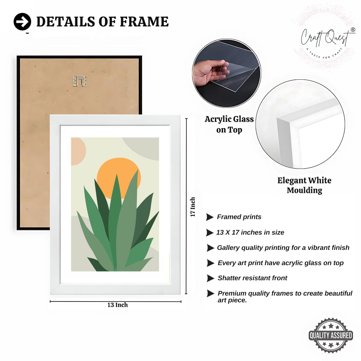 CRAFT QUEST Nature Inspired Botanical Abstract Wall Art | Set of 3 Frames for Home Decoration | Ideal for Living Room, Bedroom & Office