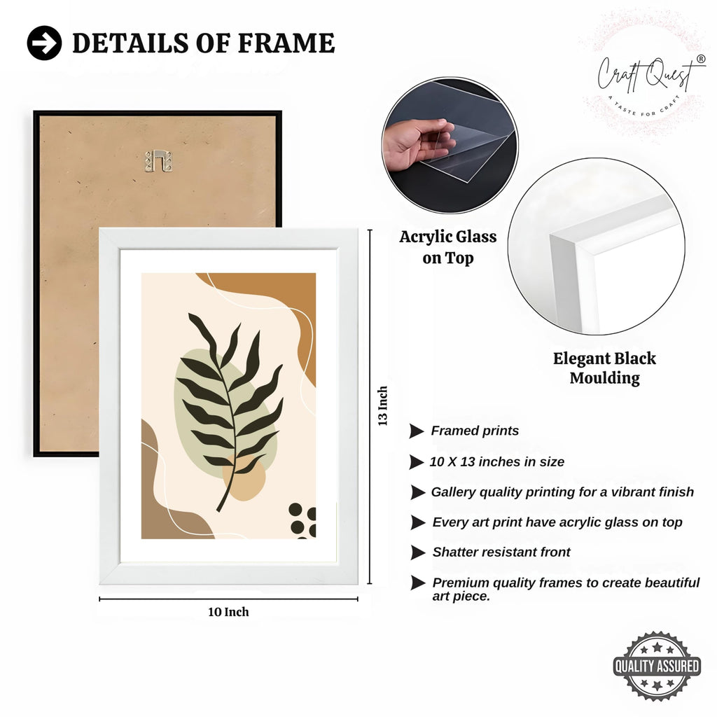CRAFT QUEST Wall Art Decor Paintings | Set of 3 BOHO Wall Art Frames for Home Decoratio | Ideal for Living Room, Offices & Bedroom