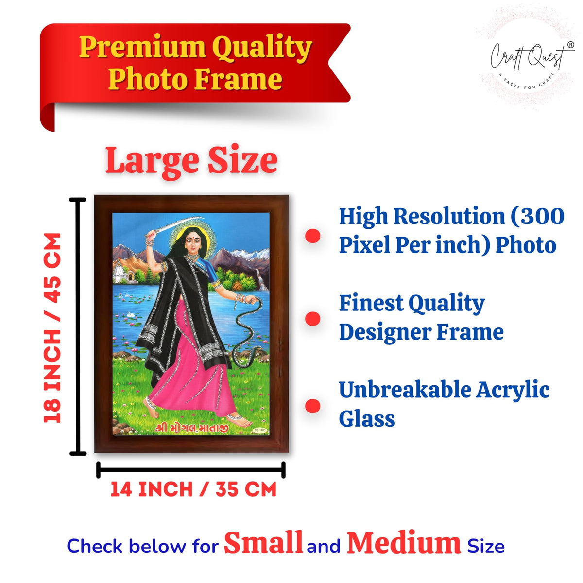 CRAFT QUEST Mogal Mataji Photo frame | Acrylic, Lightweight | Hindu God Spiritual Framed | Ideal for Home, Office, Temple & Puja Room, Wall Decor
