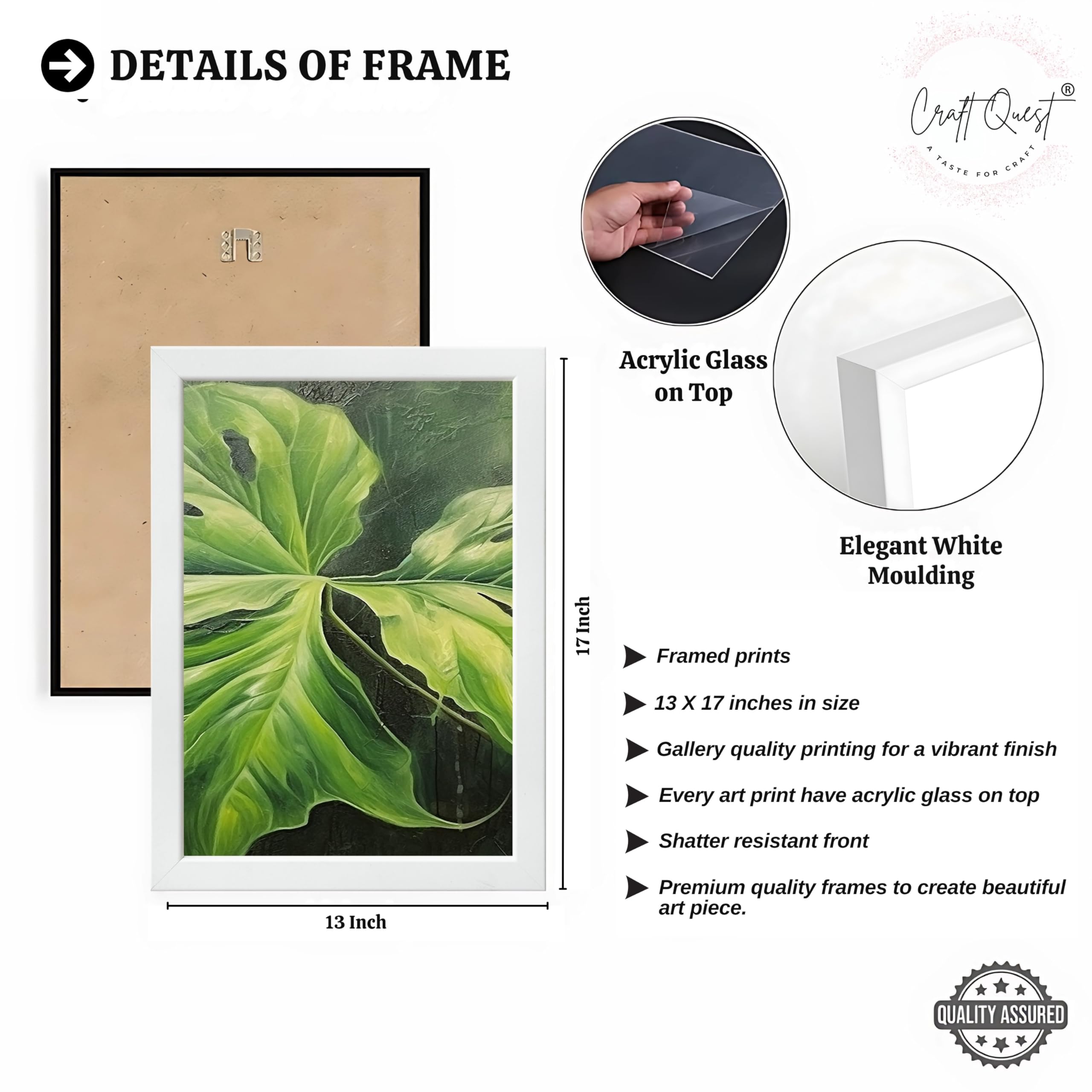 CRAFT QUEST Nature Inspired Painting Of Plant With Green Leaves Wall Art | Set of 3 Frames for Home Decoration | Ideal for Living Room, Bedroom & Offices