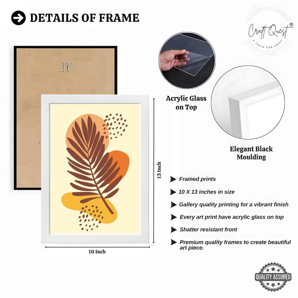 CRAFT QUEST Wall Art Decor Paintings | Set of 3 BOHO Wall Art Frames for Home Decoration | Ideal for Living Room, Offices & Bedrooms