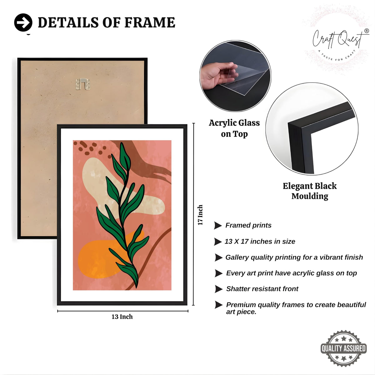 CRAFT QUEST Wall Art Decor Paintings | Set of 3 BOHO Wall Art Frames for Home Decoration | Ideal for Living Room, Bedrooms & Office