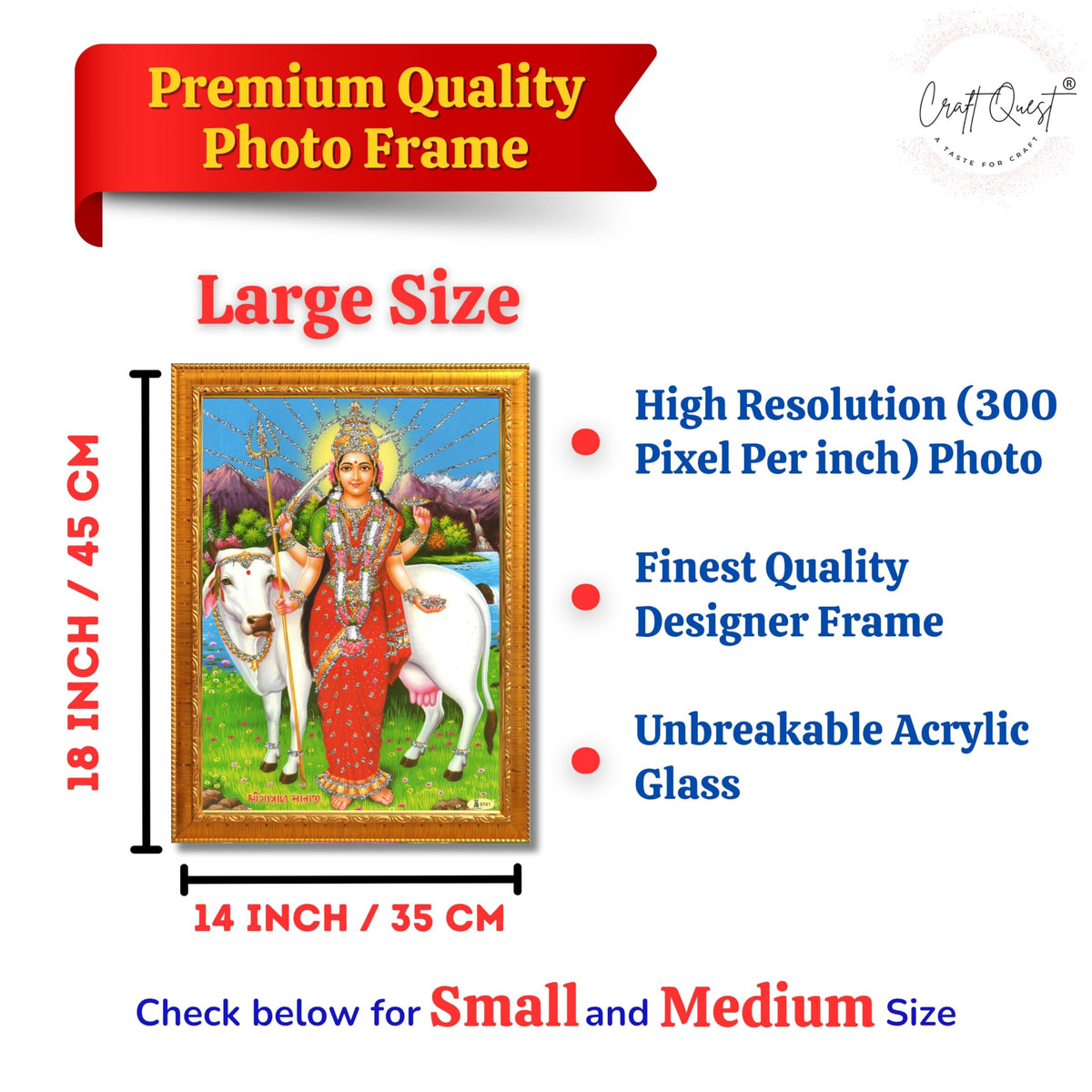 CRAFT QUEST Gatrad Devi Maa Mata Ji Mataji Wall Painting For Home Decor wooden framed